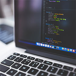 泡芙视频网页版：不必下载安装的极致观影新体验