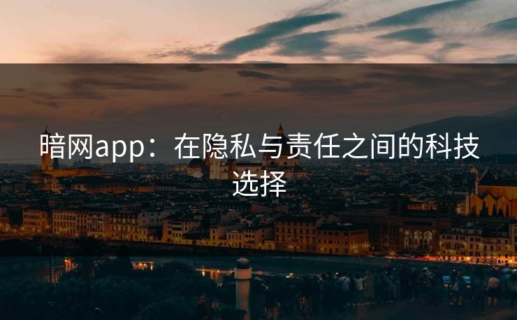 暗网app:在隐私与责任之间的科技选择