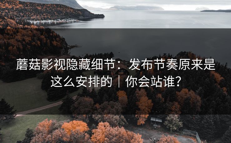 蘑菇影视隐藏细节：发布节奏原来是这么安排的｜你会站谁？